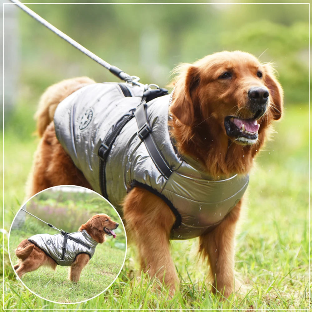 Manteau Chien Hiver Chaud Imperméable avec Harnais Grand Chien Labrador Bulldog