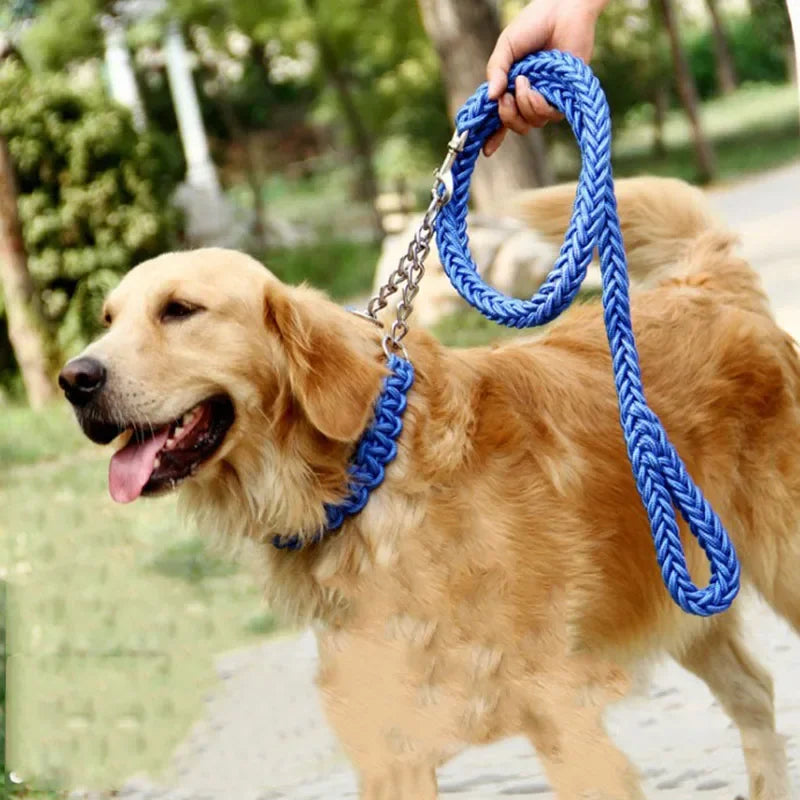 Laisse Collier Réglable Nylon Bicolore Robuste pour Chiens Moyens et Grands 130cm
