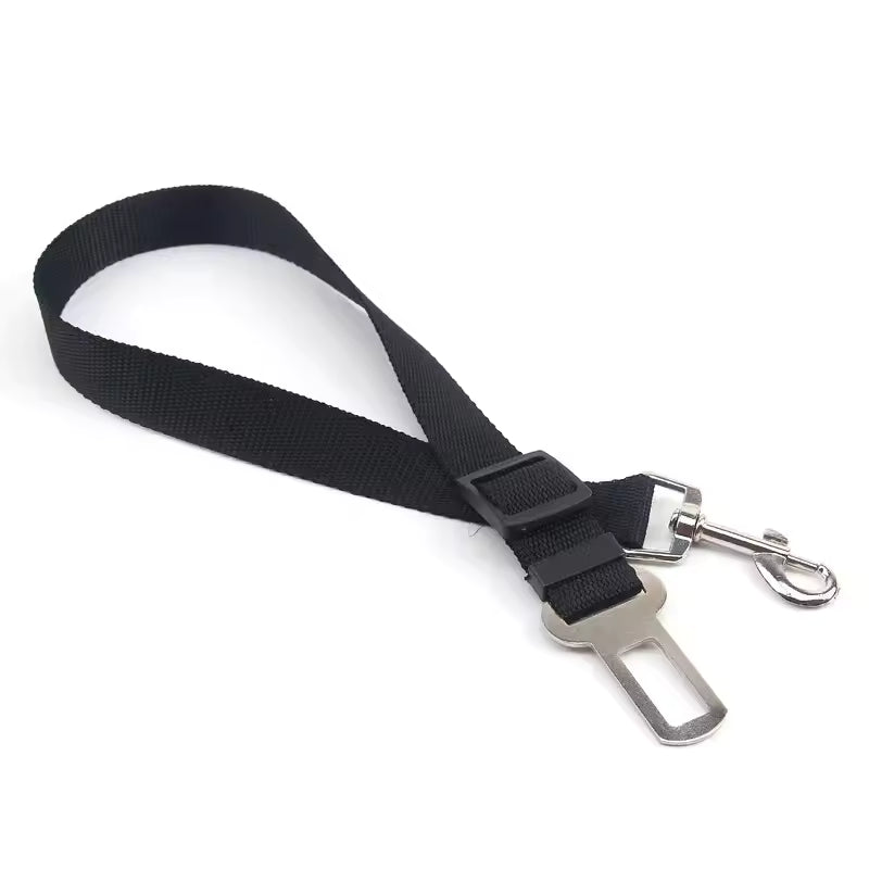 Security Belt for Dog