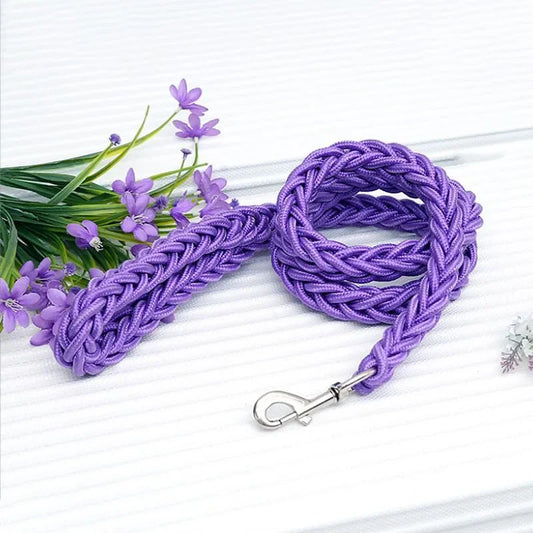 Laisse Collier Réglable Nylon Bicolore Robuste pour Chiens Moyens et Grands 130cm