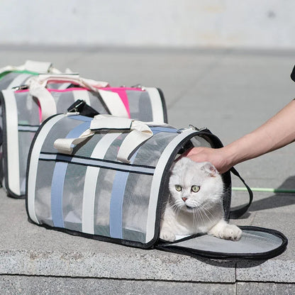 Sac de Transport Pliable Portable pour Chats et Chiens Petits à Moyens