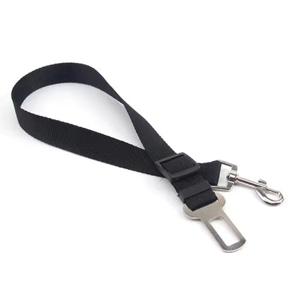 Security Belt for Dog